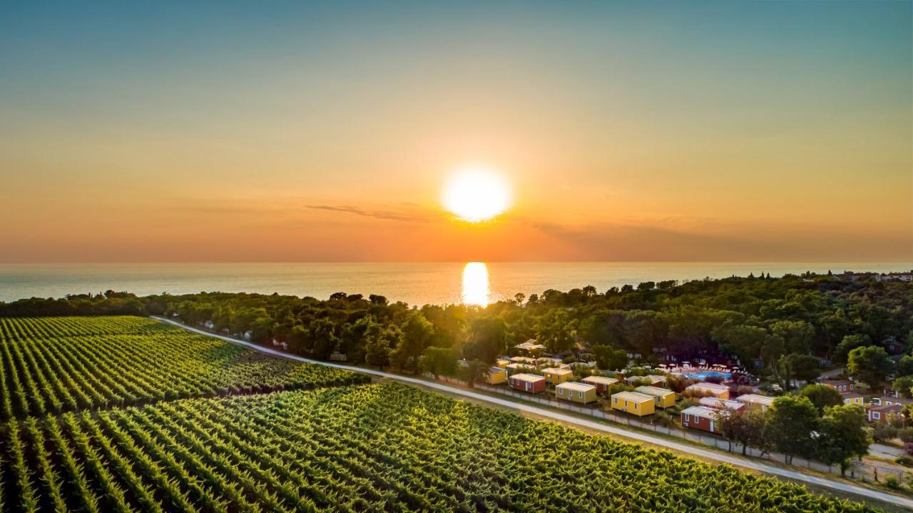Sunflower Camping Mareda Extérieur photo