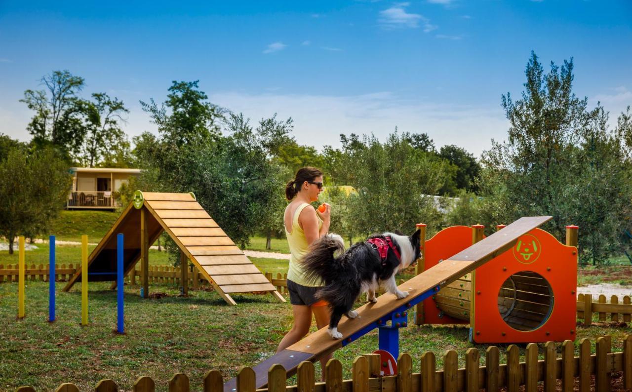 Sunflower Camping Mareda Extérieur photo